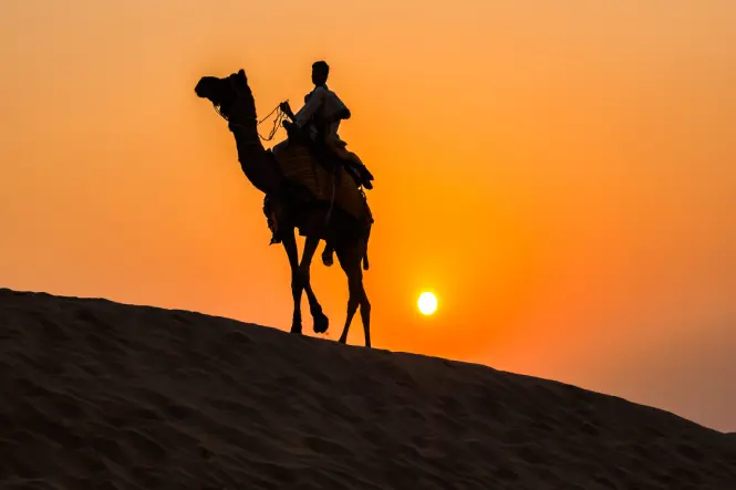 Golden Triangle Tour India with Tiger Safari