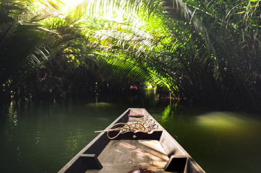 Kerala backwaters houseboat, tour with Passport Lifestyles
