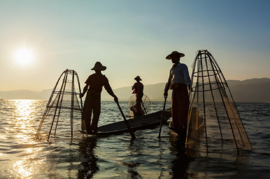 Kochi Chinese fishing nets, cultural Kerala tour experience