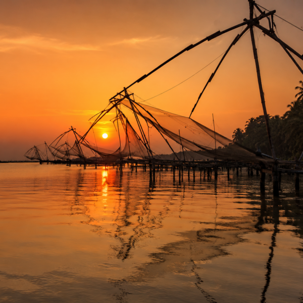 Kerala Back Waters image 5