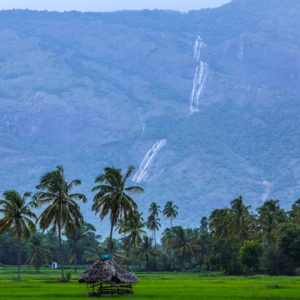 Kerala Back Waters image 11
