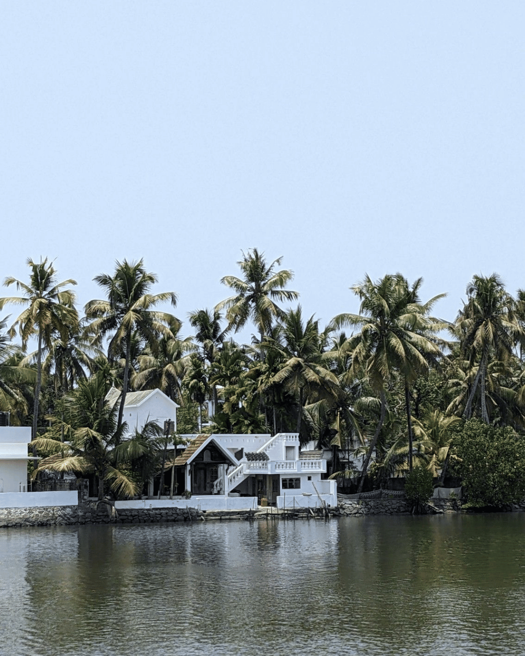 Kumbhalangi Village Experience Cochin shore excursion for cruise passengers