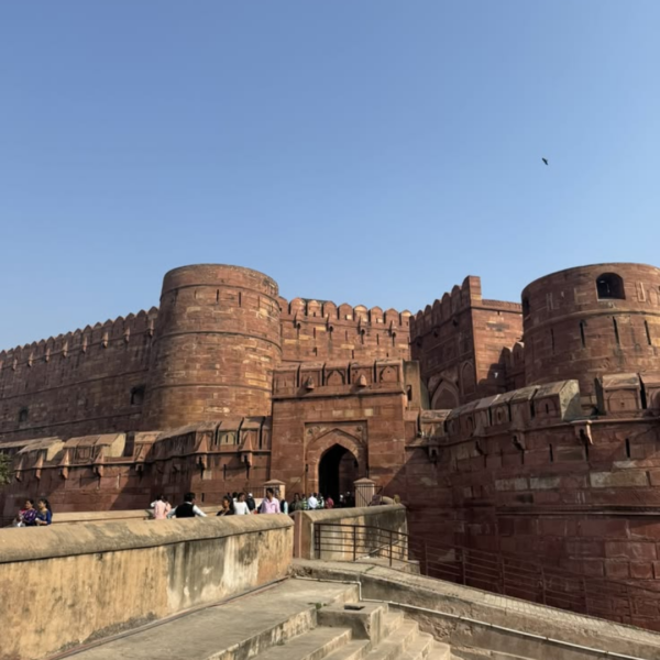 The One Day Taj Voyage image 3