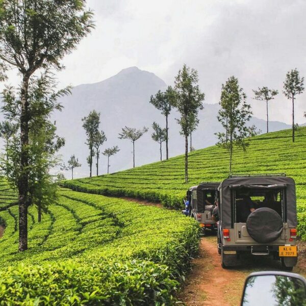 Kerala Timeless Journey