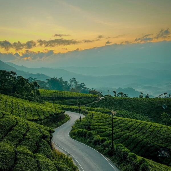 Kerala Timeless Journey