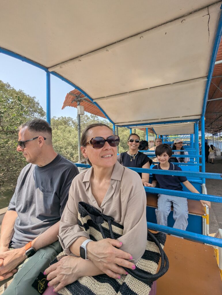 Elephanta Caves By Speedboat for Cruise Passengers [Private tour] – image 7